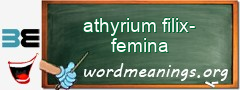 WordMeaning blackboard for athyrium filix-femina